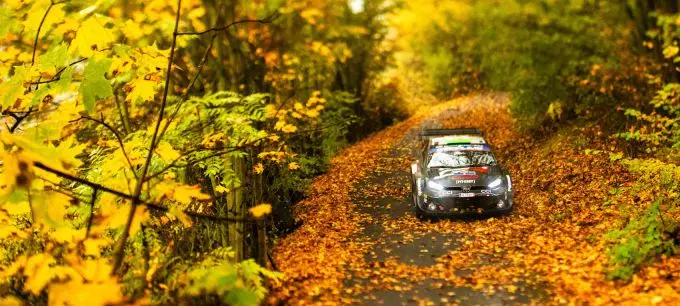 toyota fia wrc forest autumn