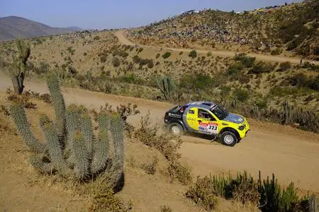 van deijne 9 rx