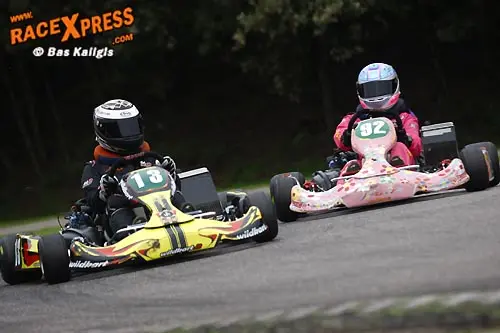 wildkart dd2 rx 500
