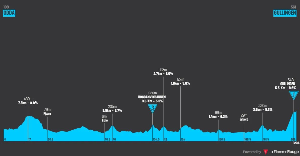 Etappe 2: Odda - Gullingen, 203 Kilometer schematisches Profil&lt;br&gt;