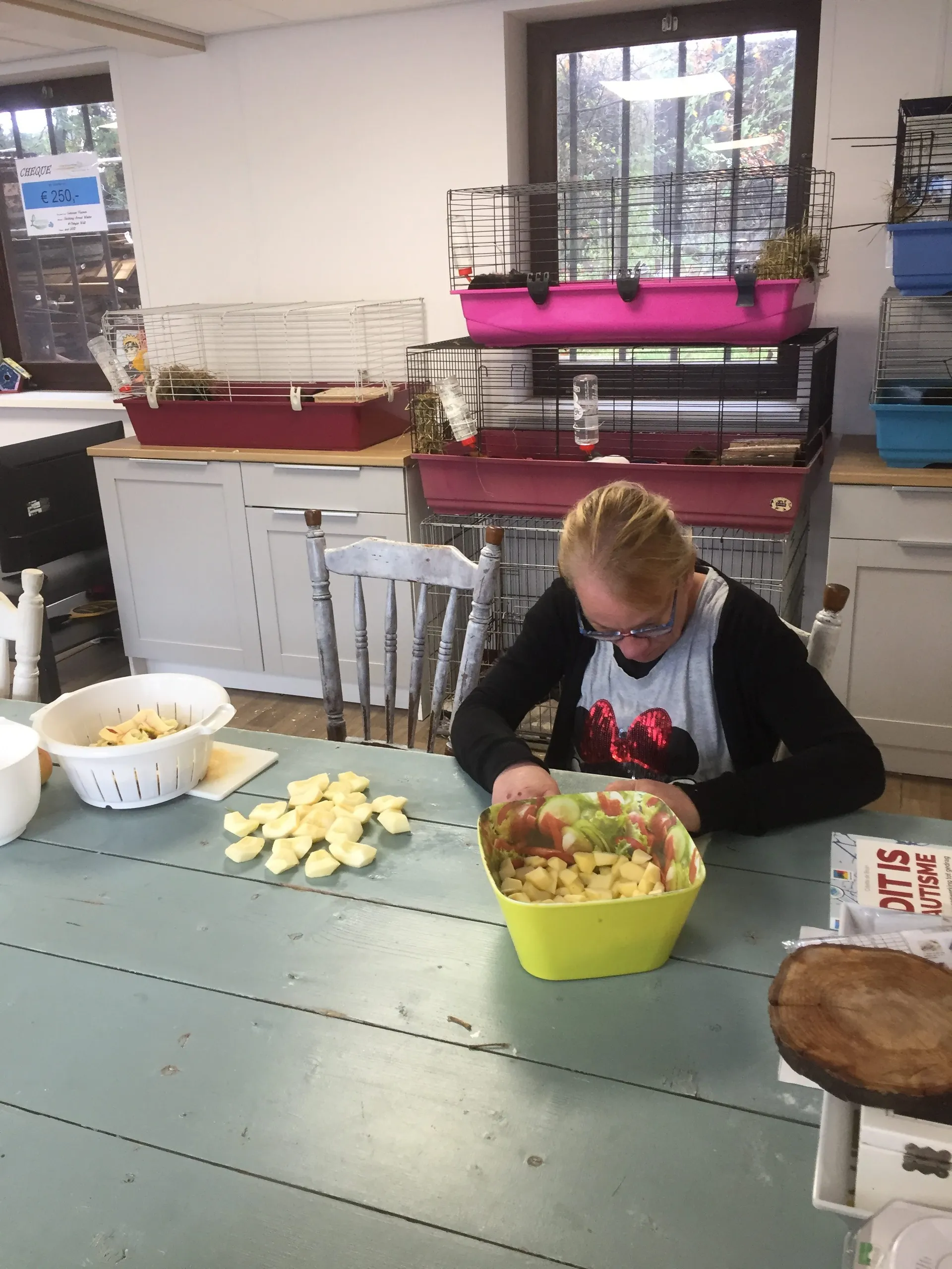 img 2330 e1556185643719