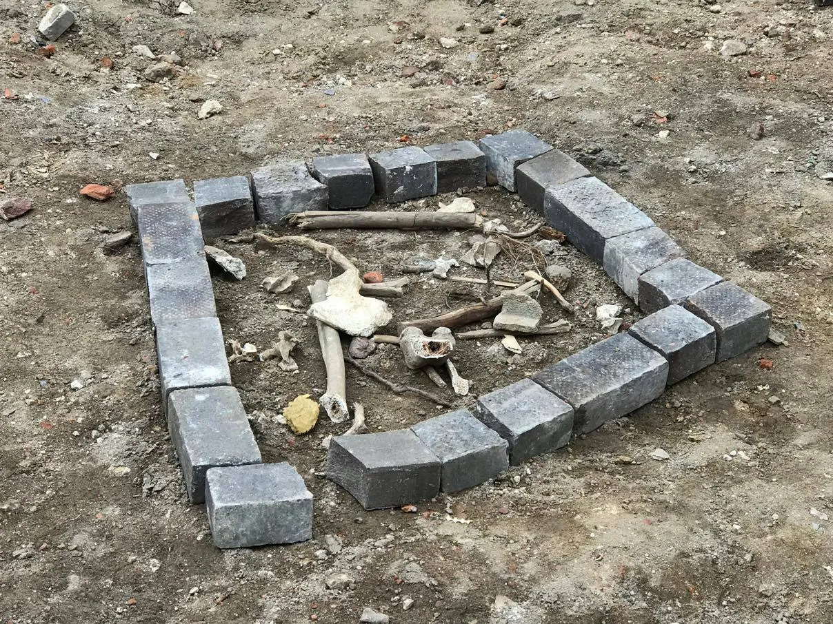 18406269 1446799008713355 1354971086 o