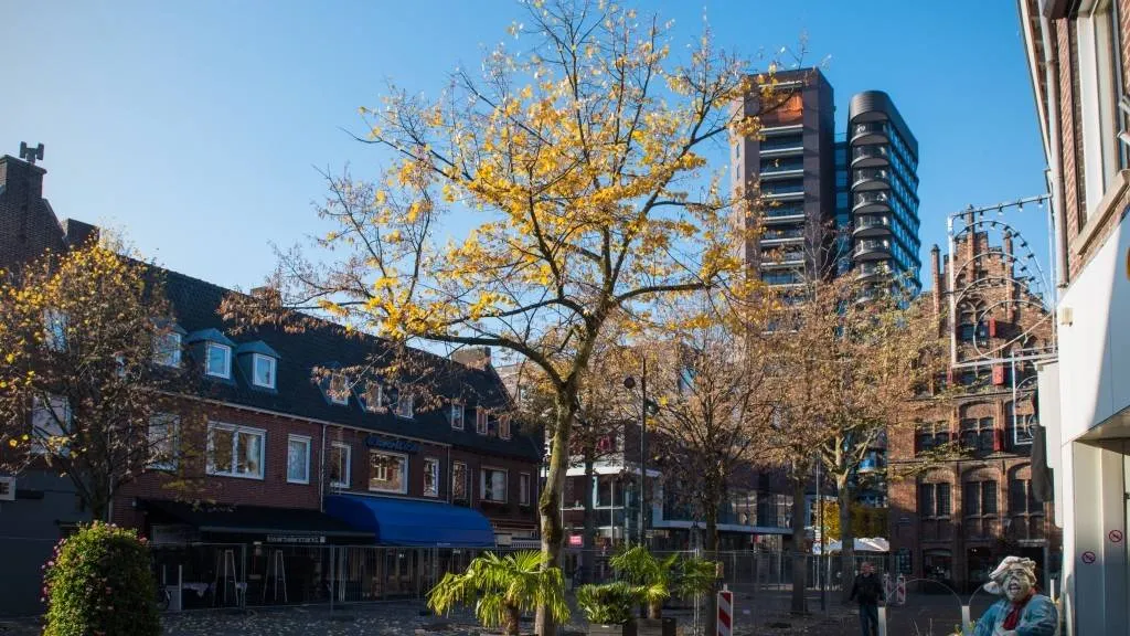 375 bomen kwartelenmarkt