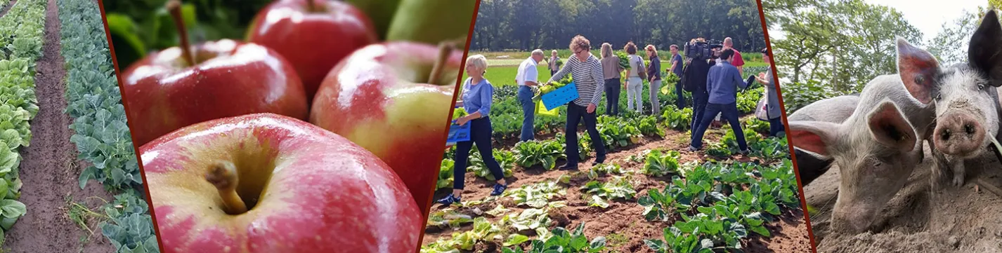 herenboeren ulingshof