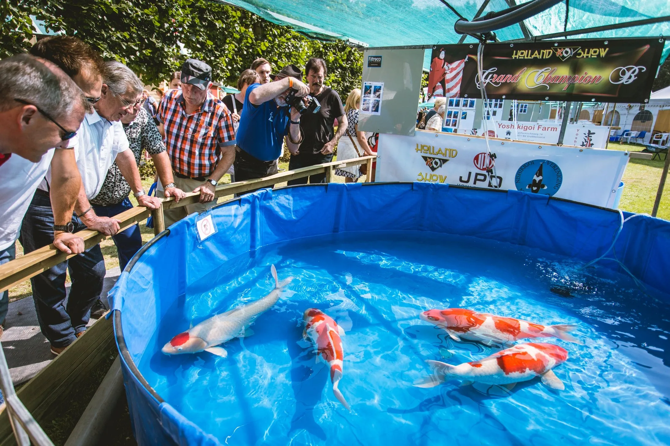 kasteeltuinenarcen hollandkoishow pamvandenbroek 001 1