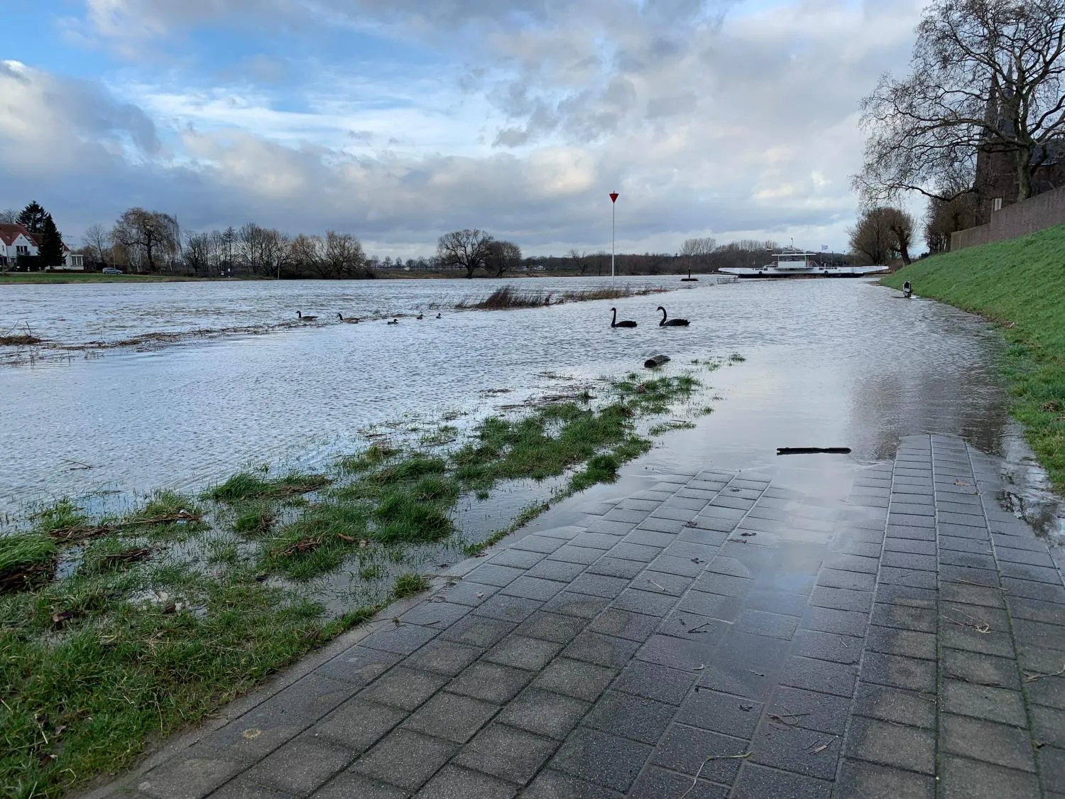 maas steyl 230115