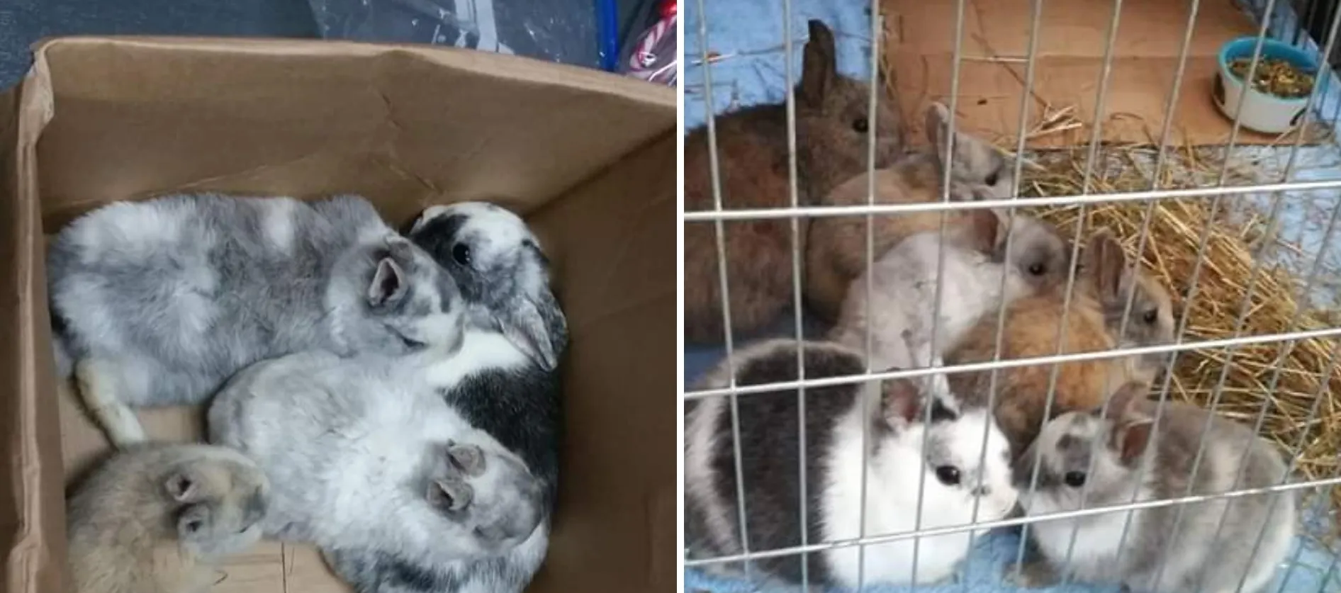 screenshot 20181223 180653 facebook