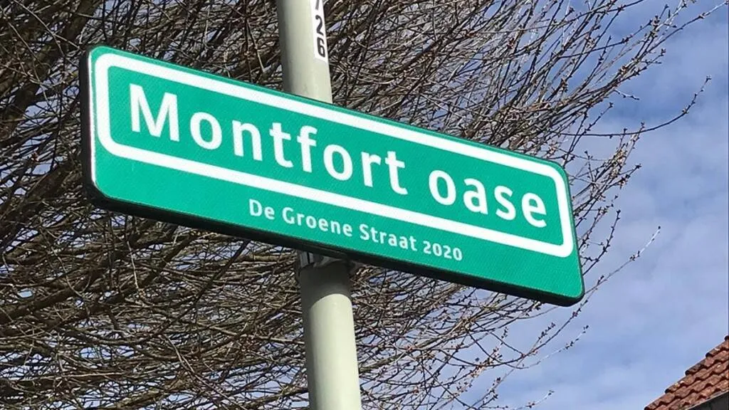 1151 montfort oase