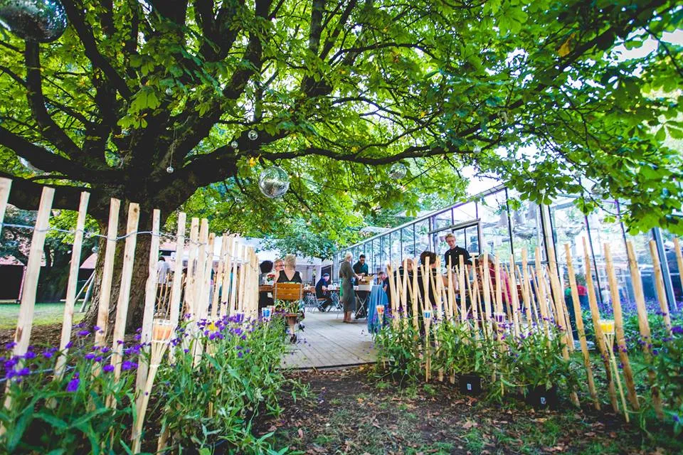 11951340 1036850113000072 2423811782553955046 n