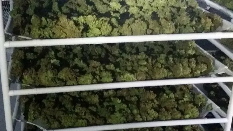 150036886274382 65041428 800