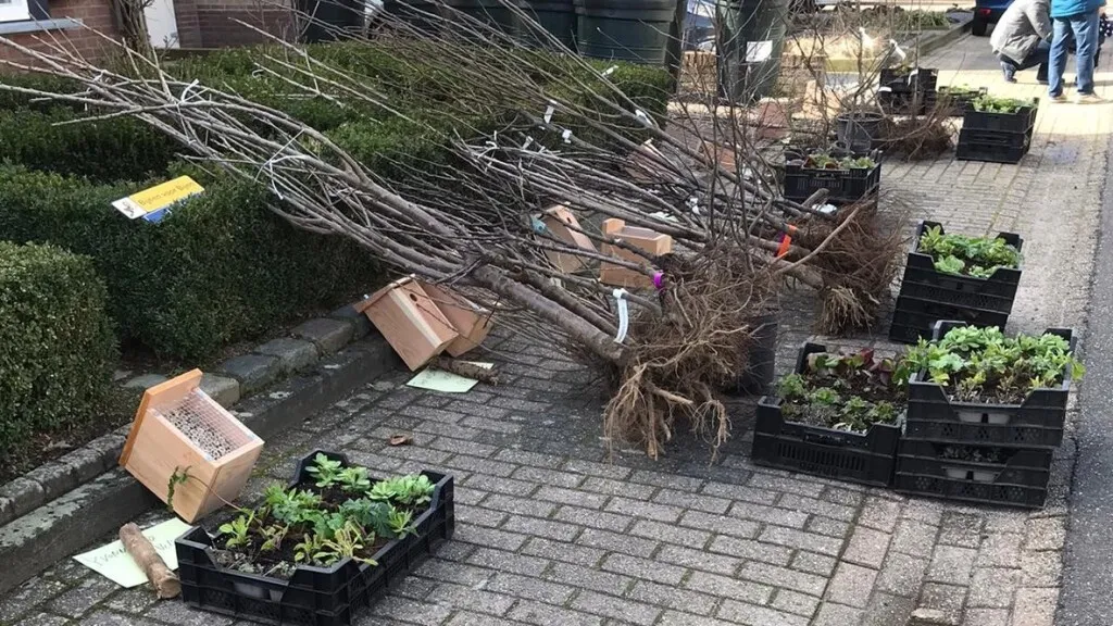 1518 bomen en plantjes