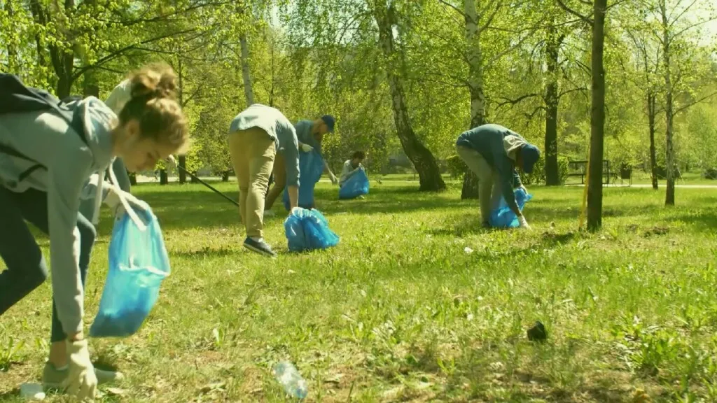 1542 zwerfafval opruimen