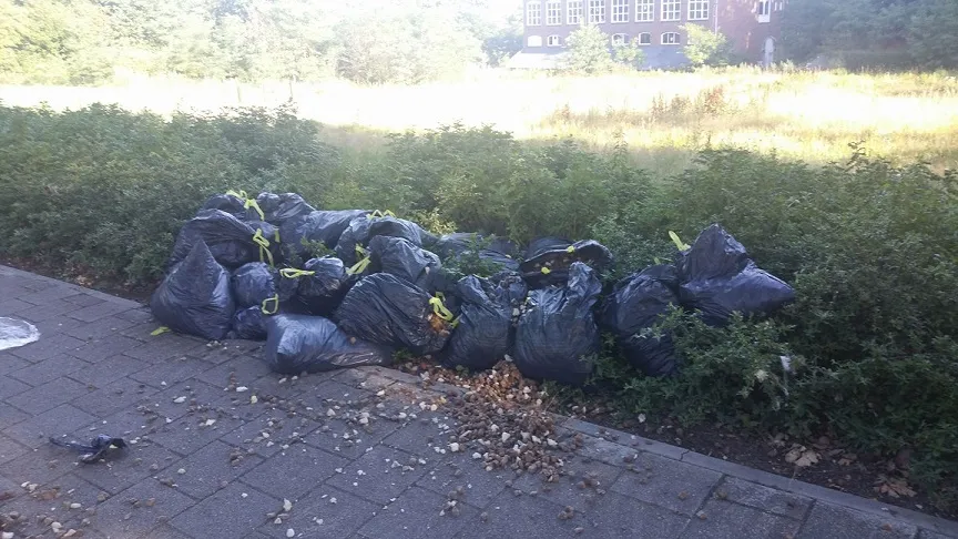 20157942 749236965273353 6174953113366800813 o