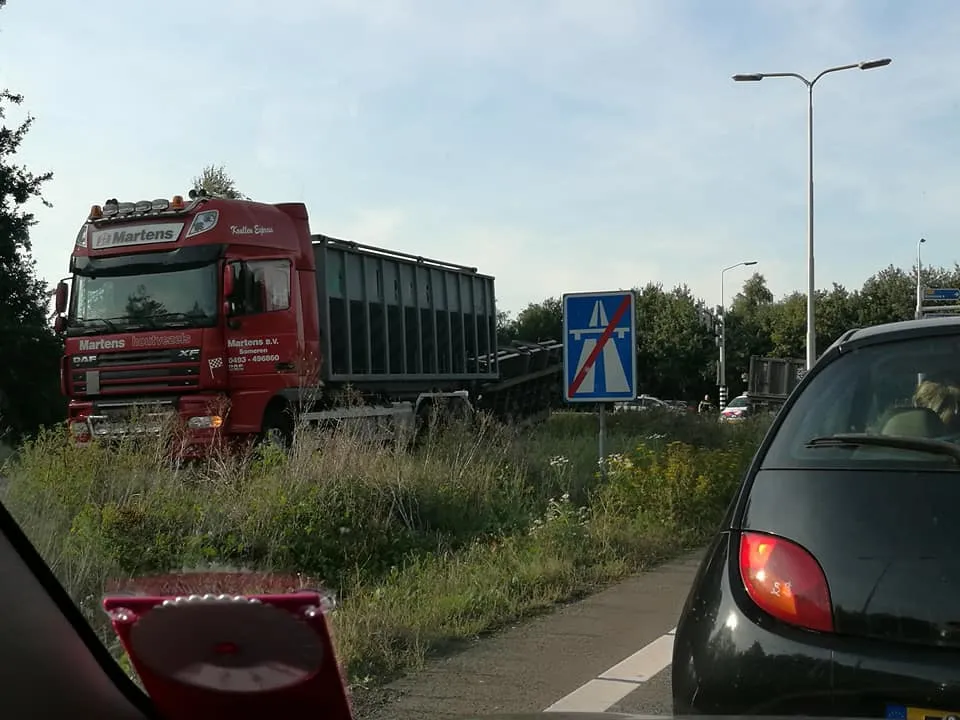 21687430 10214941018785370 2634666354776574766 n