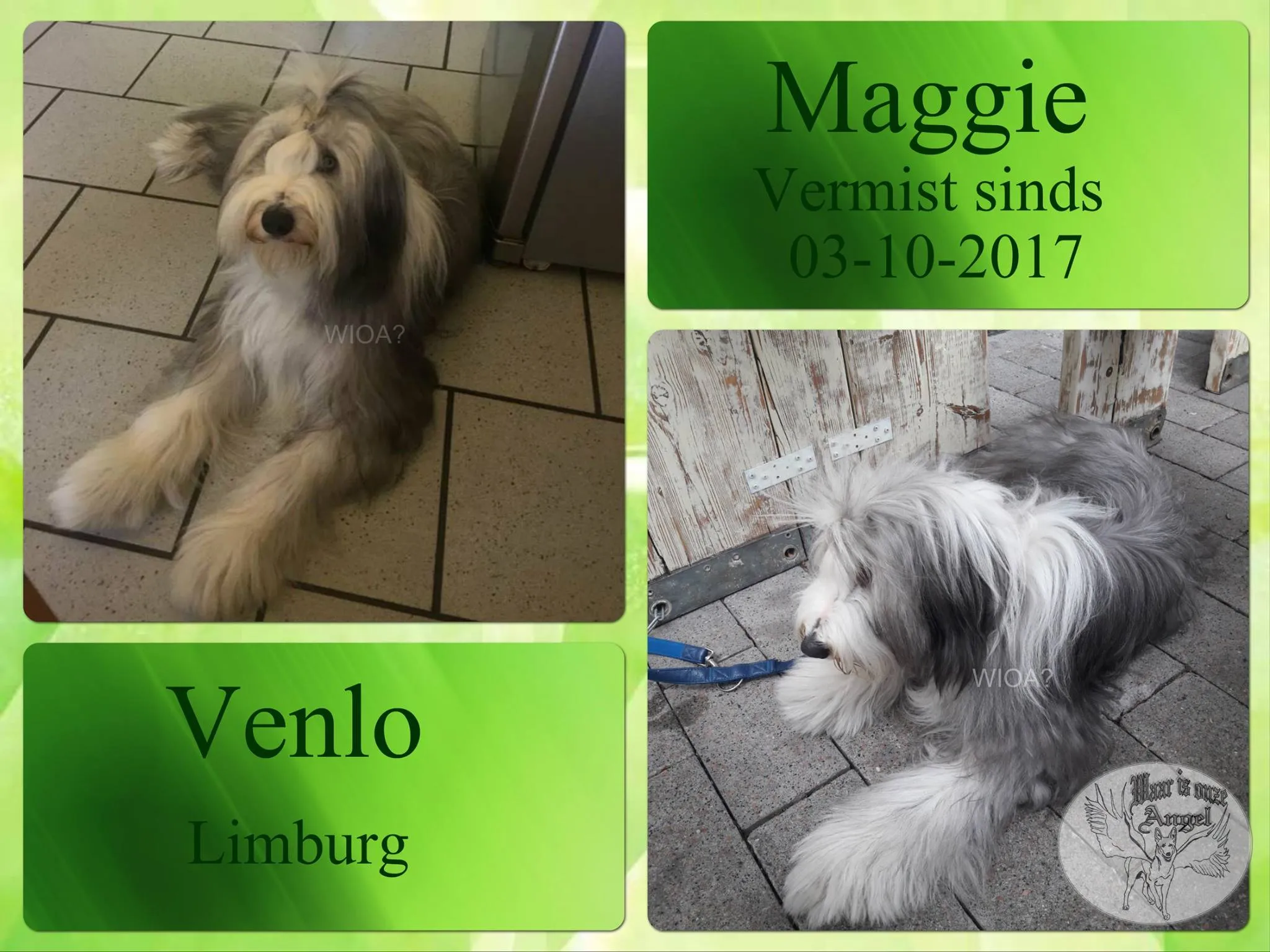 22256694 1480733898628695 269675631041136682 o