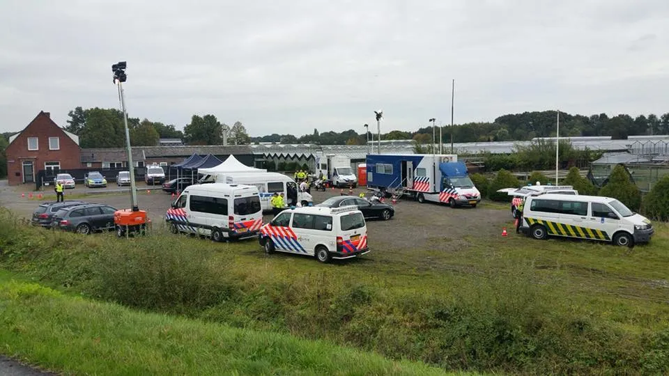 22310692 1723676797643473 3509198372694030818 n