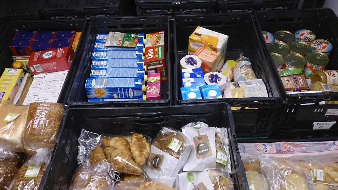 22538734 1695698220492841 7298840519161173561 o