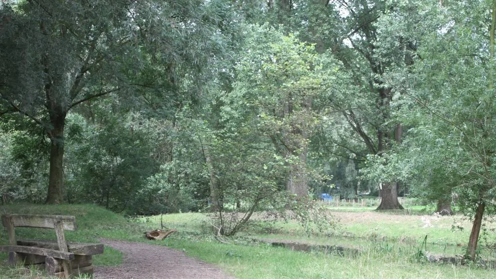 237 bomen venloonline