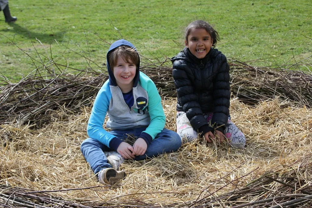 25824724150 65e1d2ded3 b