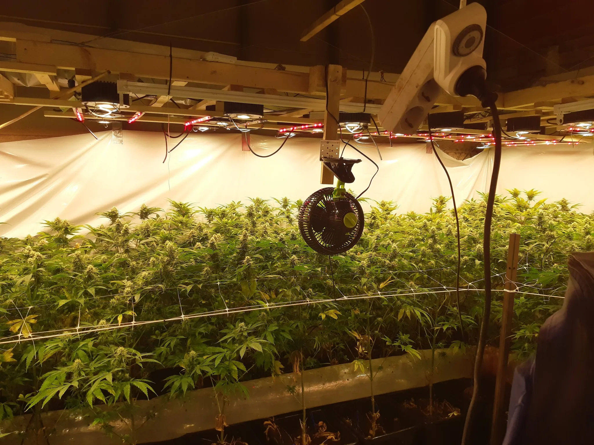 262400068 267601045404736 7046326057513844534 n