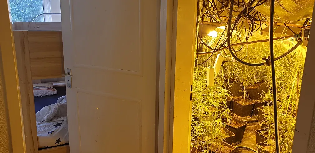 283604478 382175687280604 6160864717224759925 n