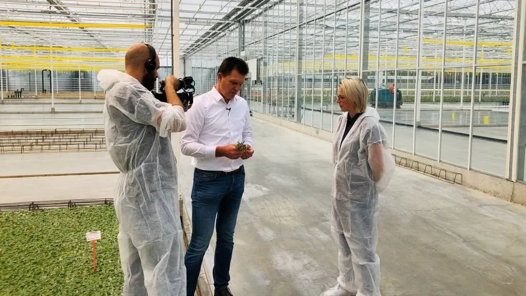 702 wat maakt venlo bij gipmans