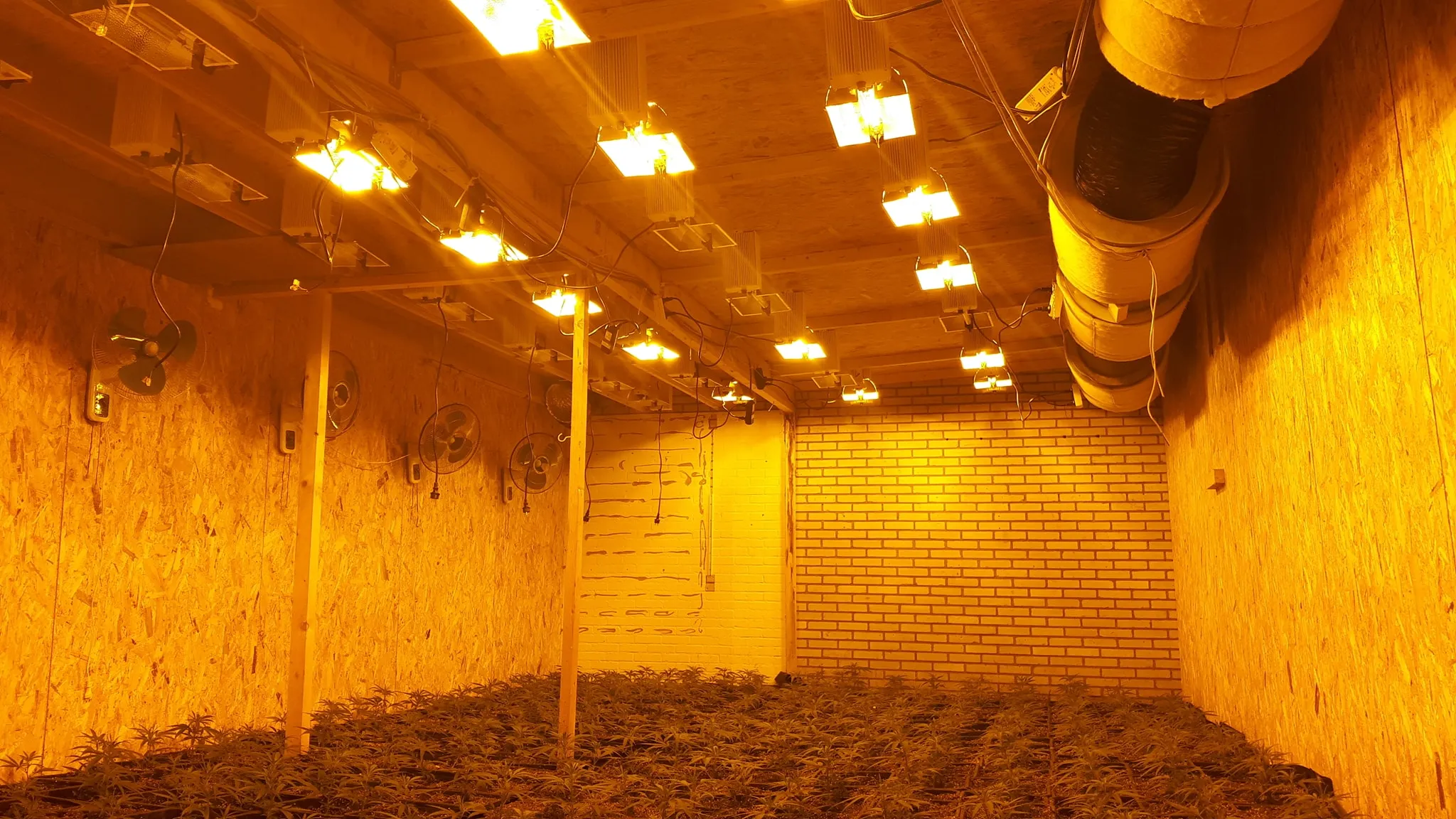 80523642 2088882554591203 4433130247814119424 o