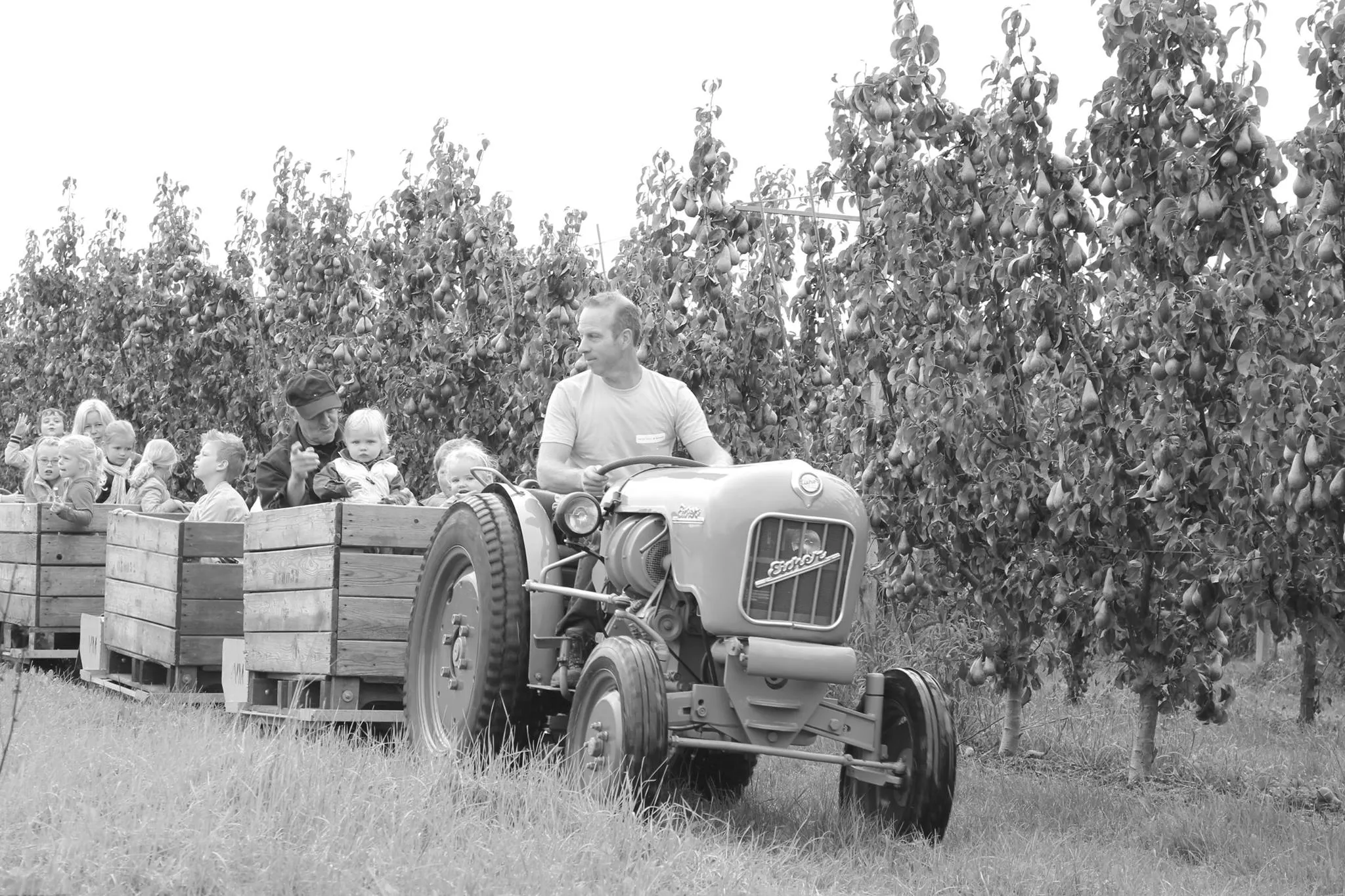appelplugdag