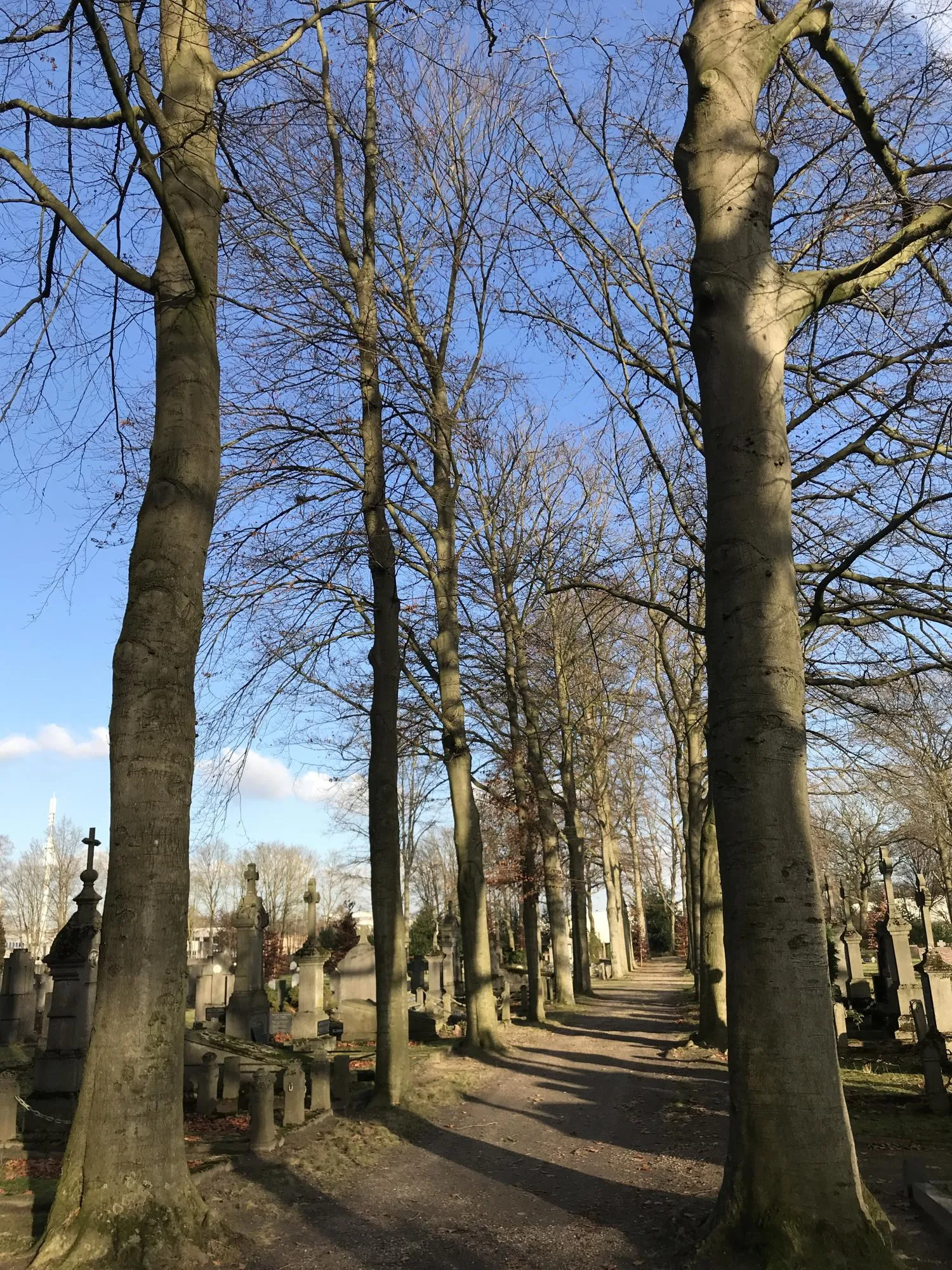 begraafplaats staand