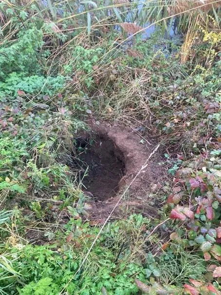 beverproblematiek tegelen 4