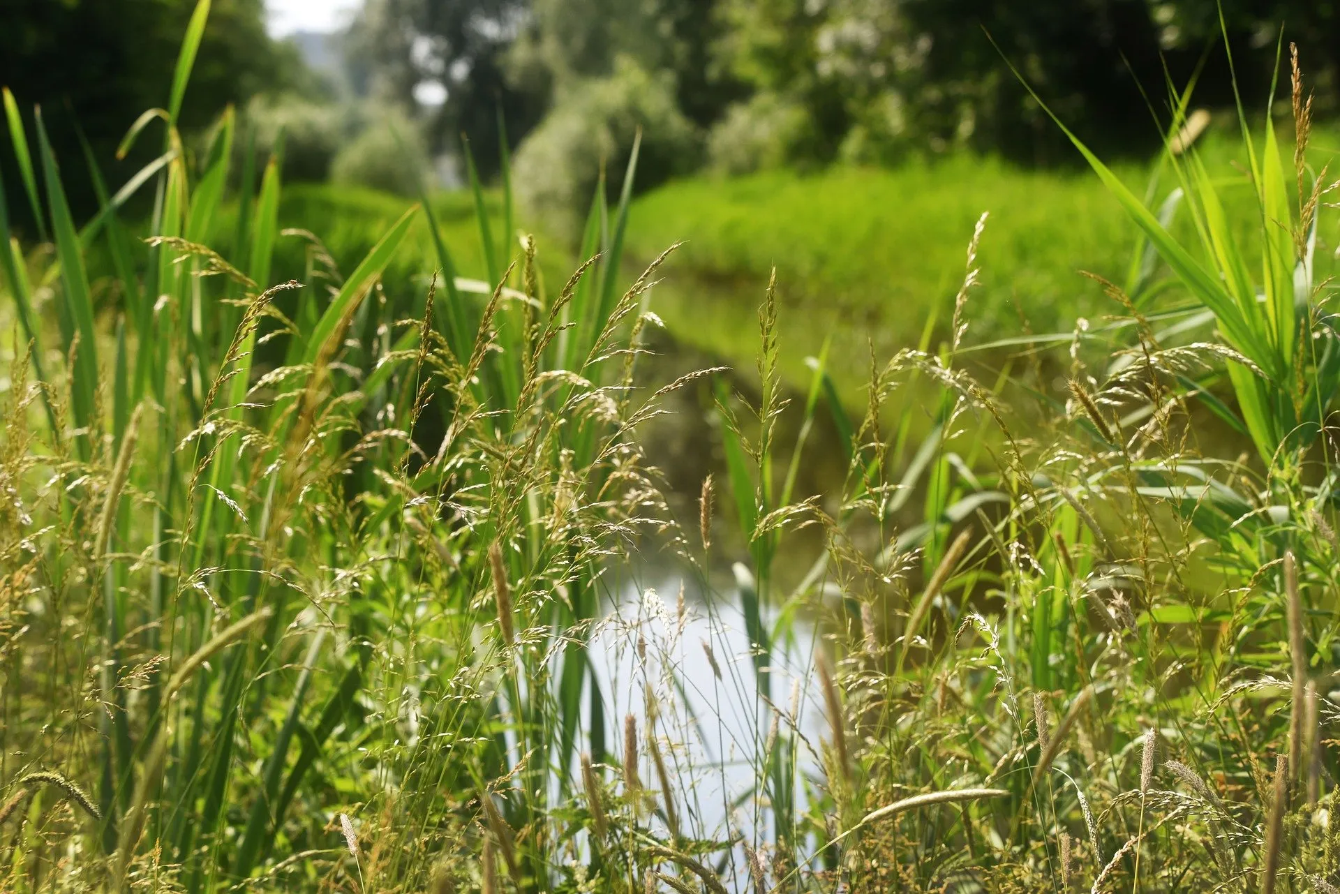 ditch 3454623 1920 2