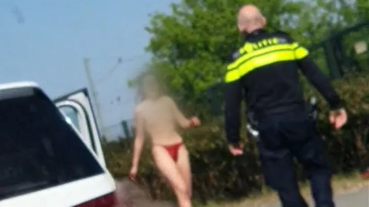 e79e61e6 3d1e 4e28 bb8c f8f20ff6f716