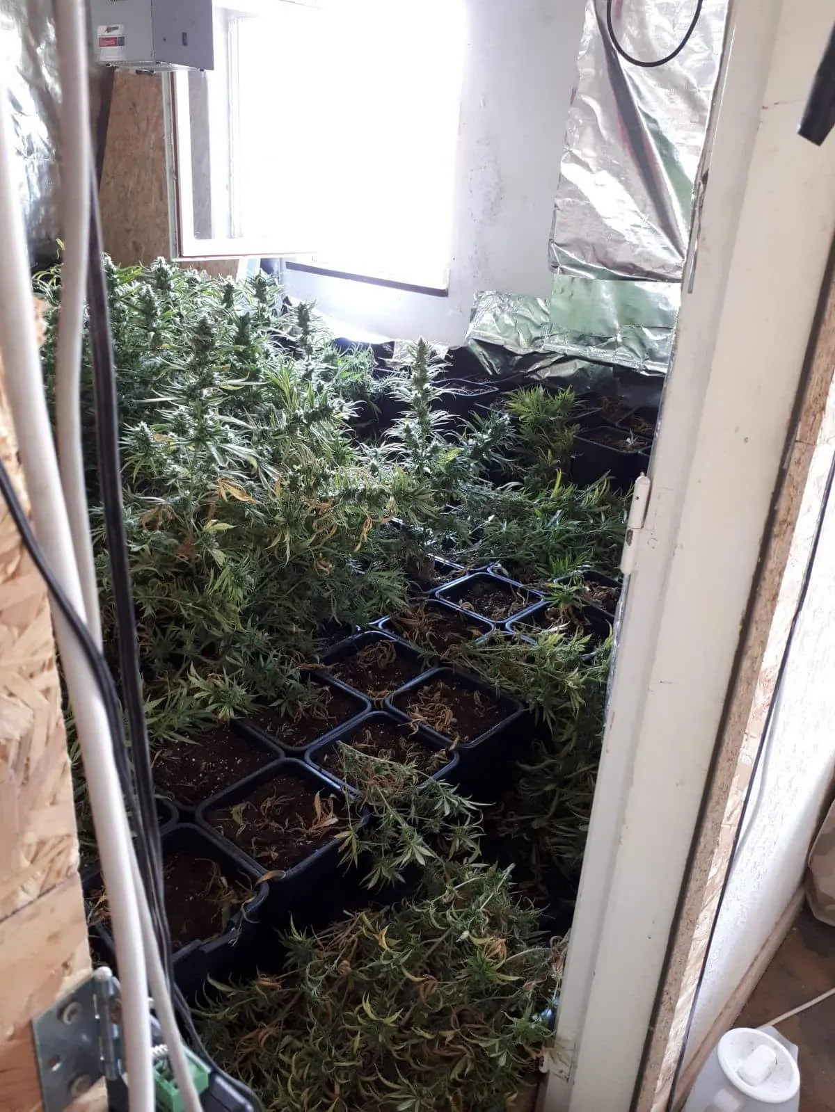 fb img 1525982378385