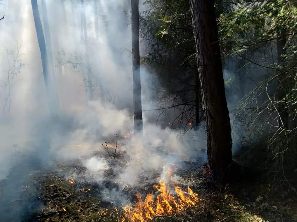 fb img 1555690487941