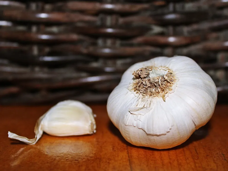 garlic 592864 960 720
