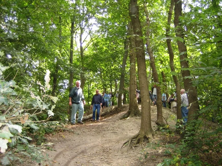 groote heide bomen en struiken 1