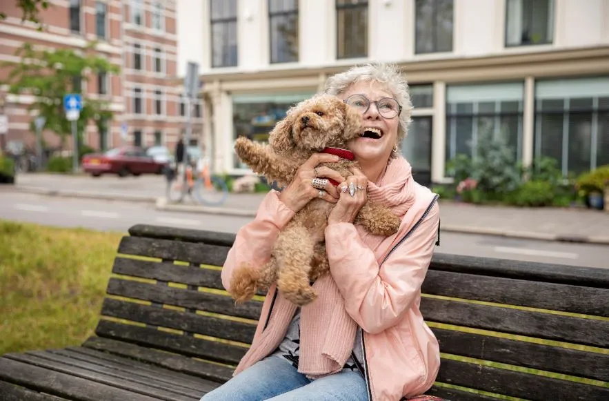 hond ouderen