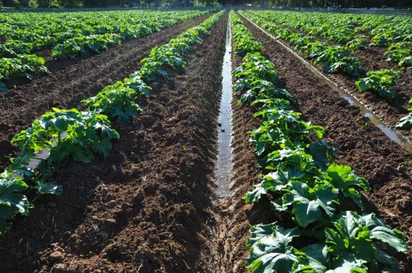 land stockfoto