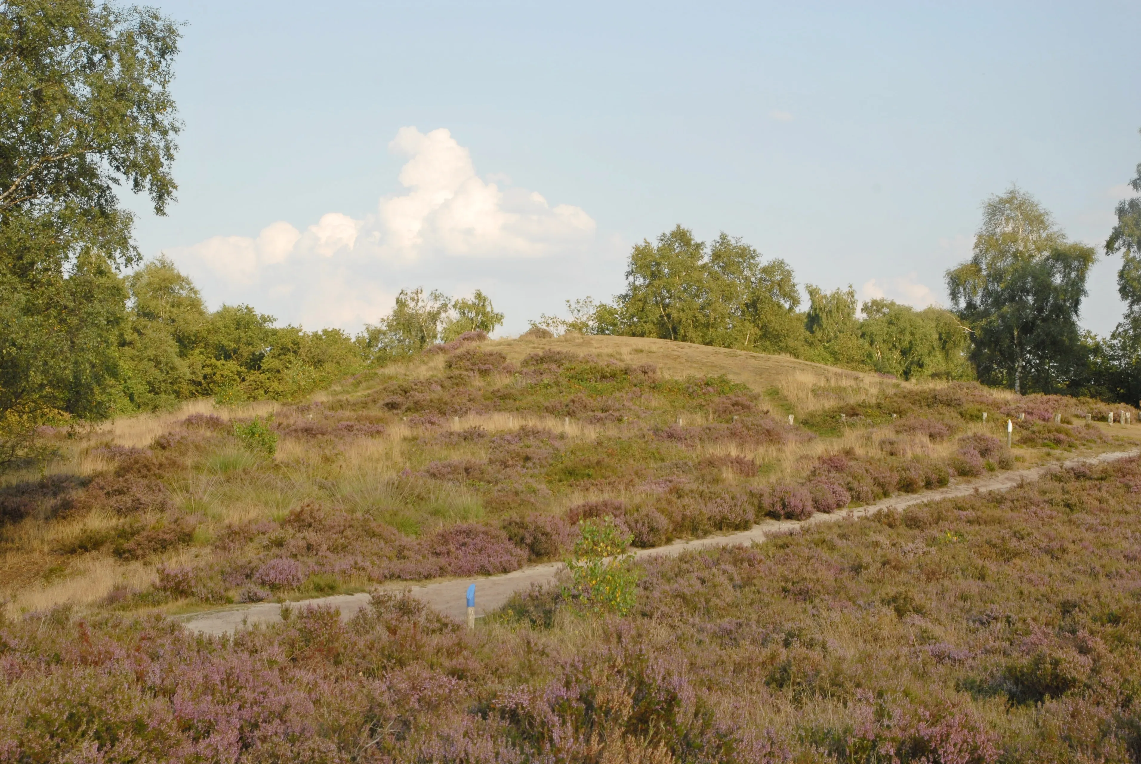 landgoed de hamert vorstengraf stichting het limburgs landschap henk heijligers anwb 2014