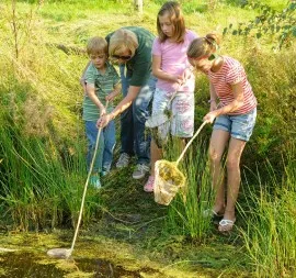 limburgs landschap bodem beestjes