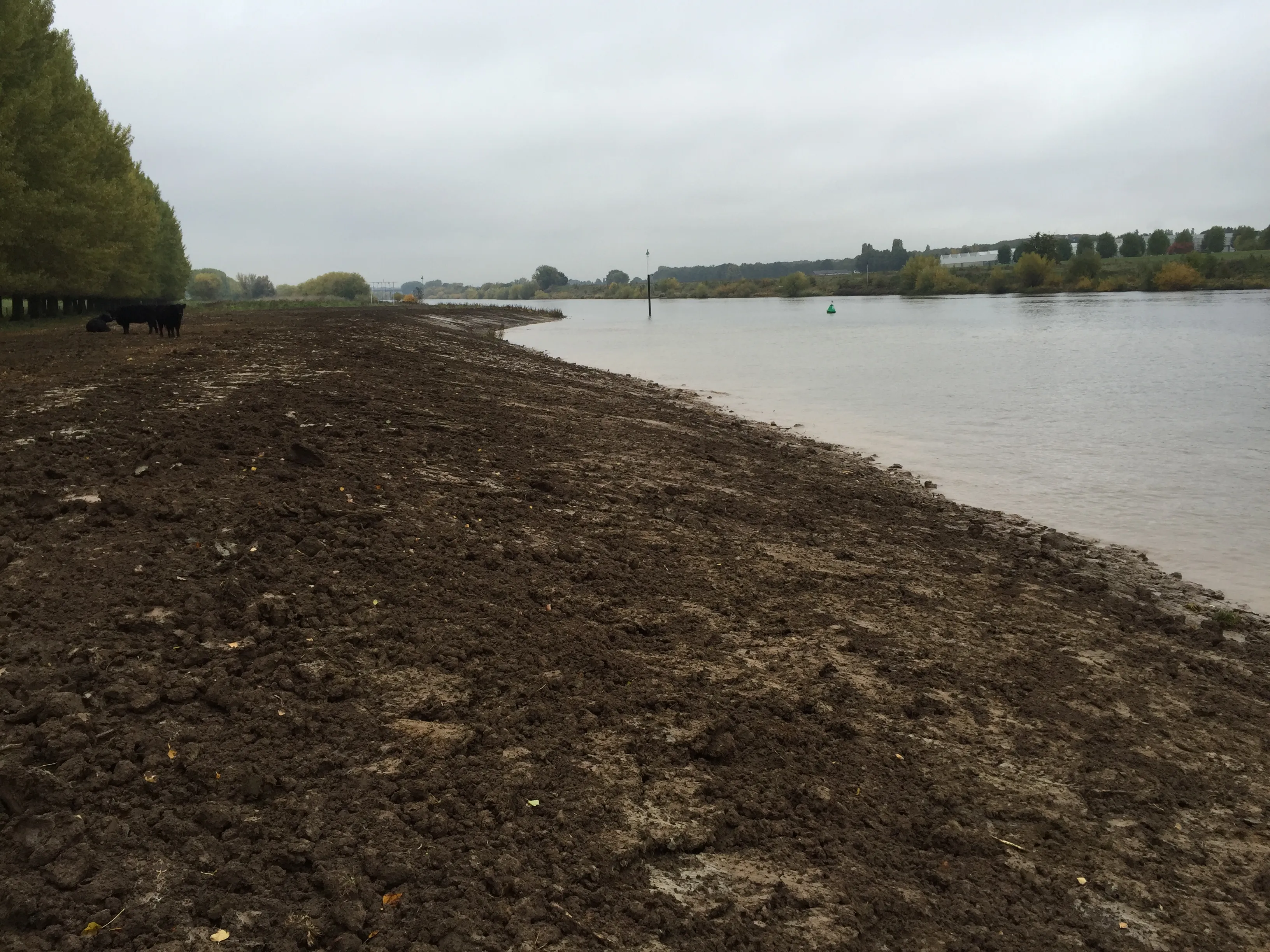 maasoever raaijweide na herstel 22 10