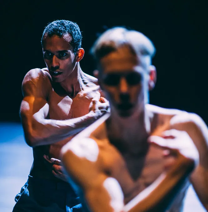 midnight raga rahi rezvani online 2 e1549546749271