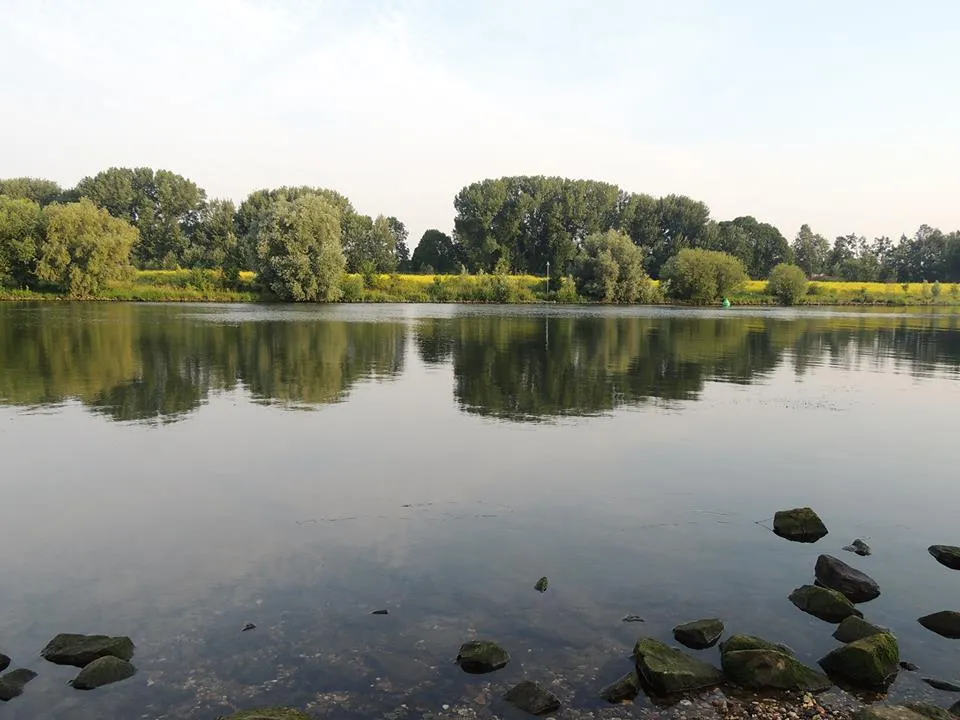 modermaas