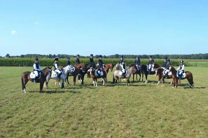 paardensport zeldenrust