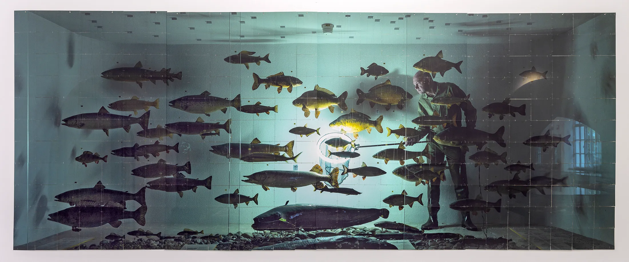 pii pii the fisherman 2022