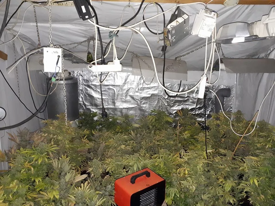 politie blerick hebbep