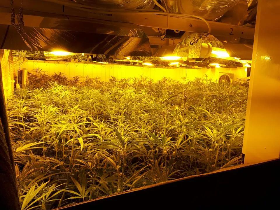 politie hennep tegelen