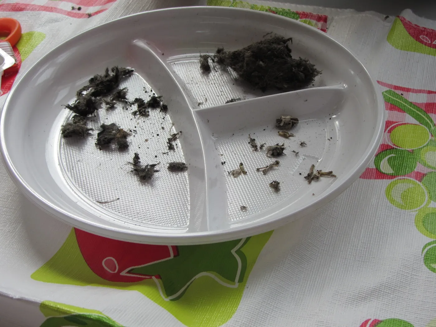 resultaat braakballen pluizen