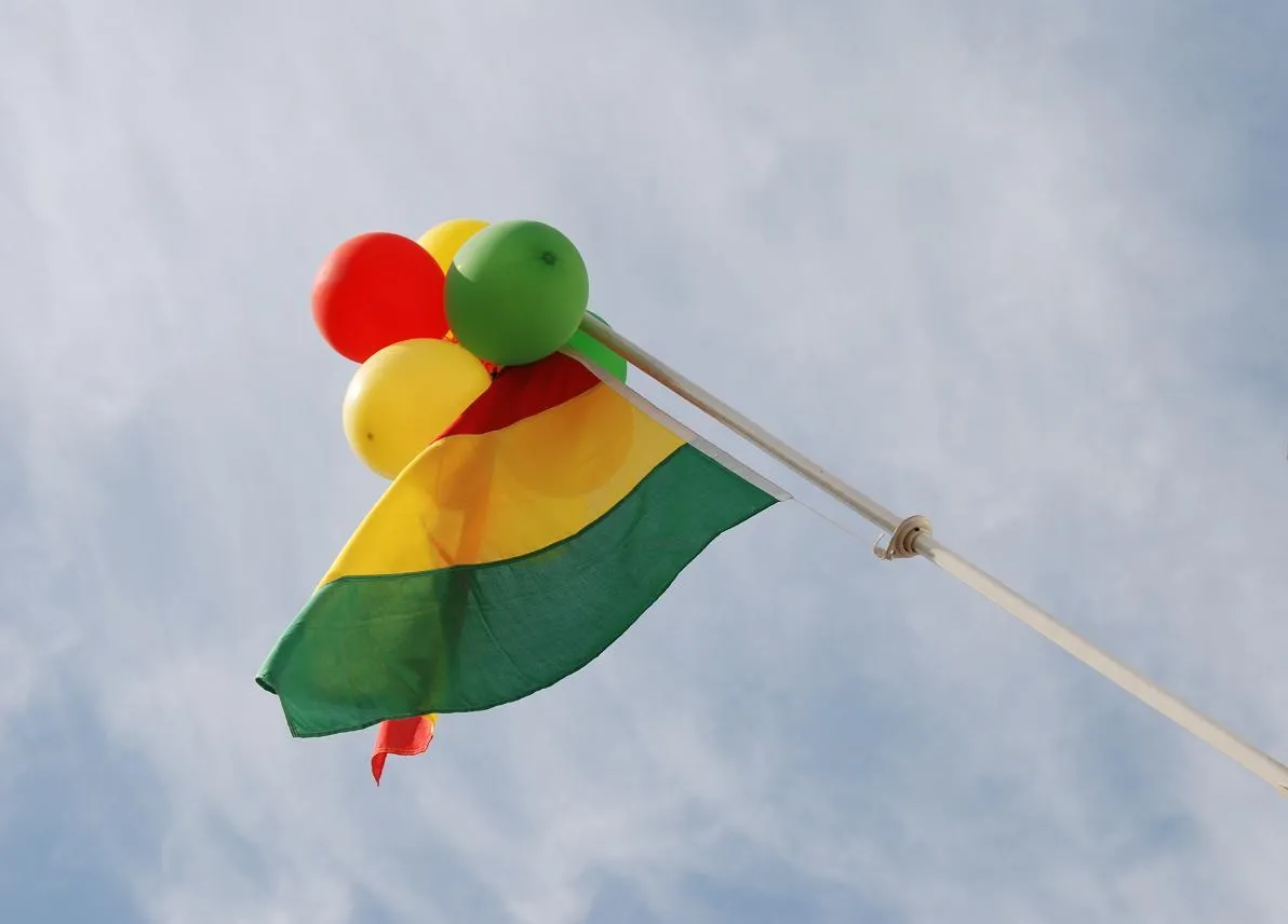 roadgeelgreunwkped07 carnaval