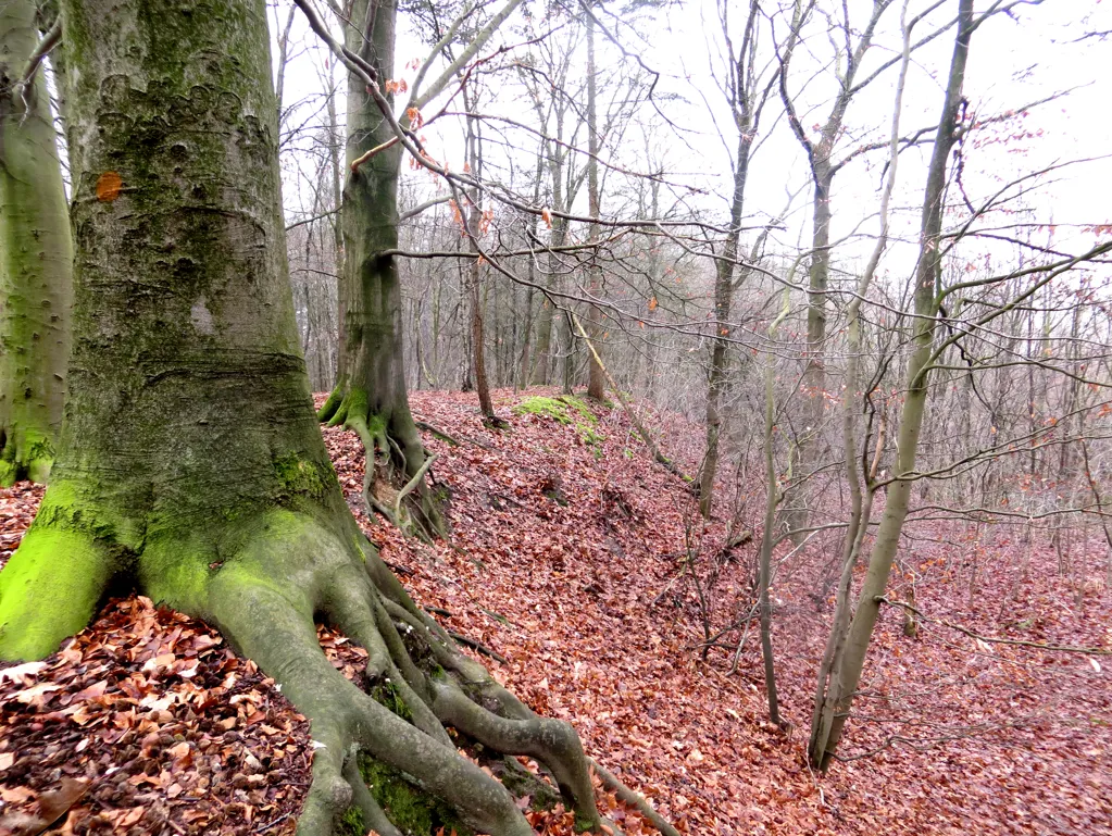 stijgen en dalen limburgslandschap